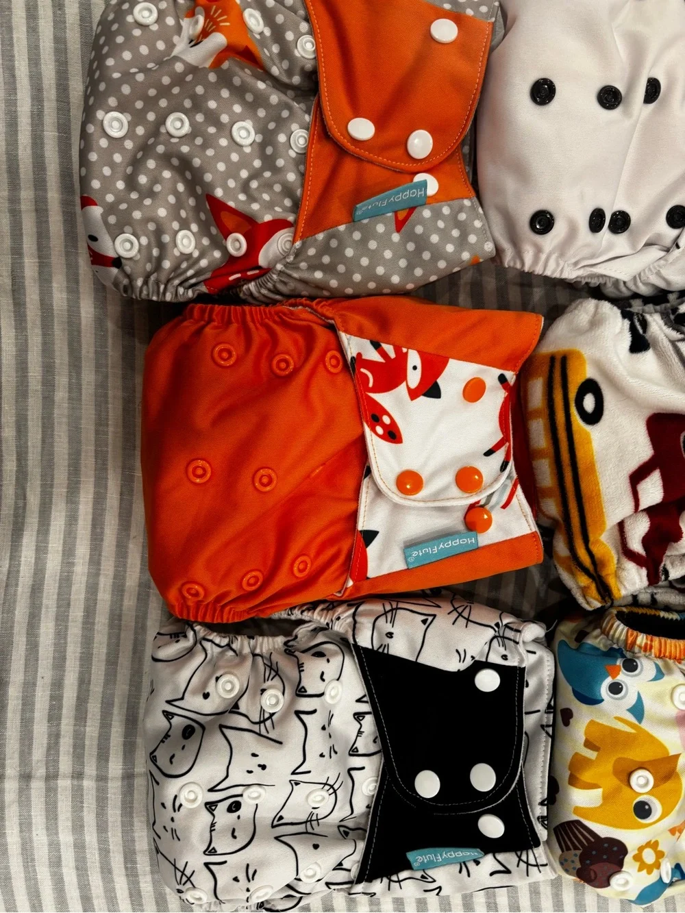 Cloth Diaper Lot (9)